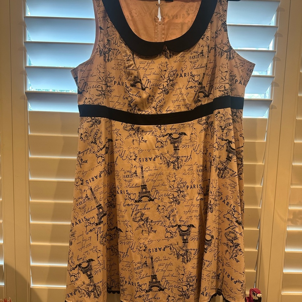 Disney Aristocats Marie Pink and Black Dress, Size 24